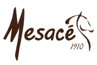 Abetta horse saddles, the original western